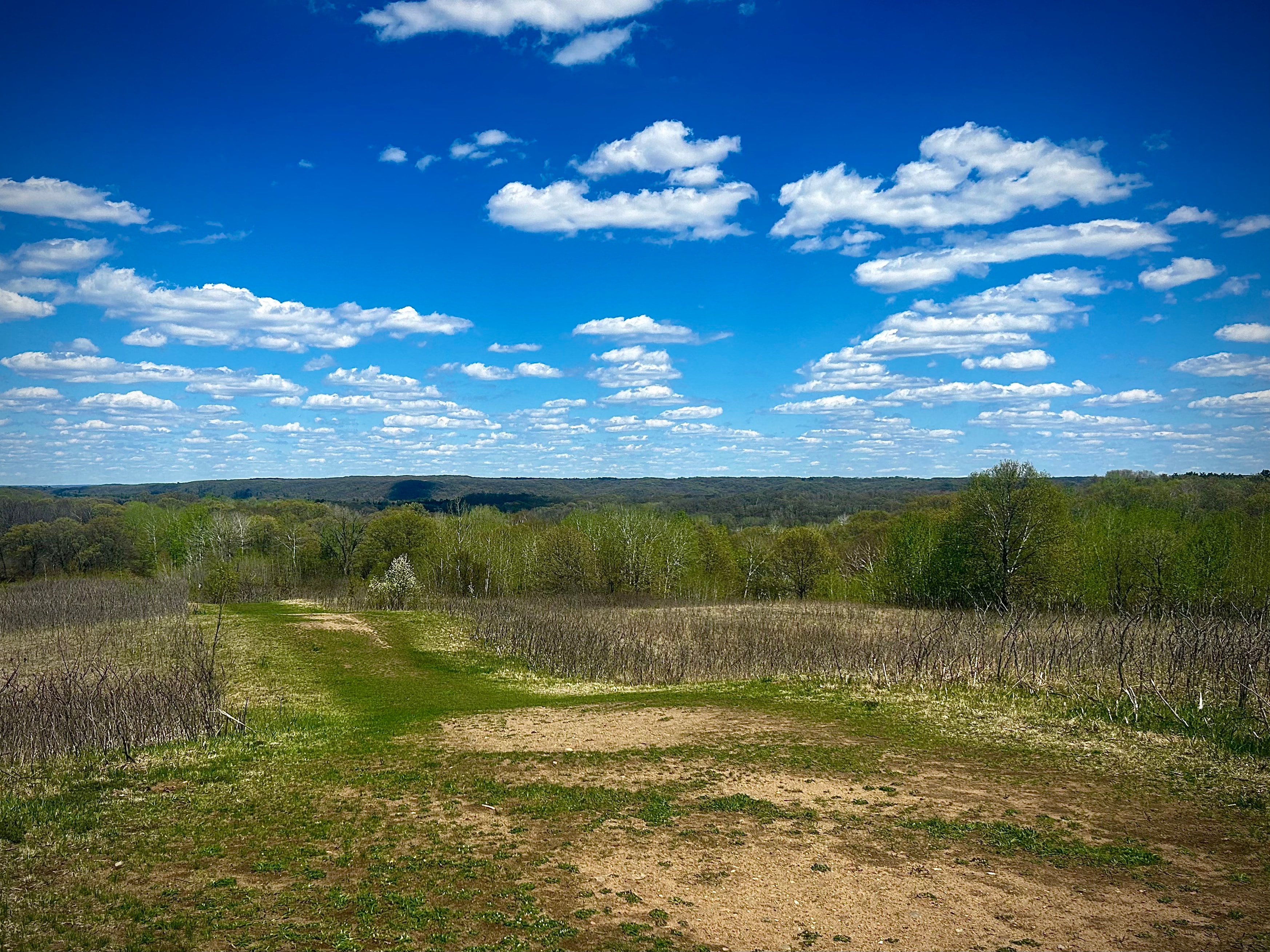 Rolling fields and treeline under a wide blue sky with scattered clouds