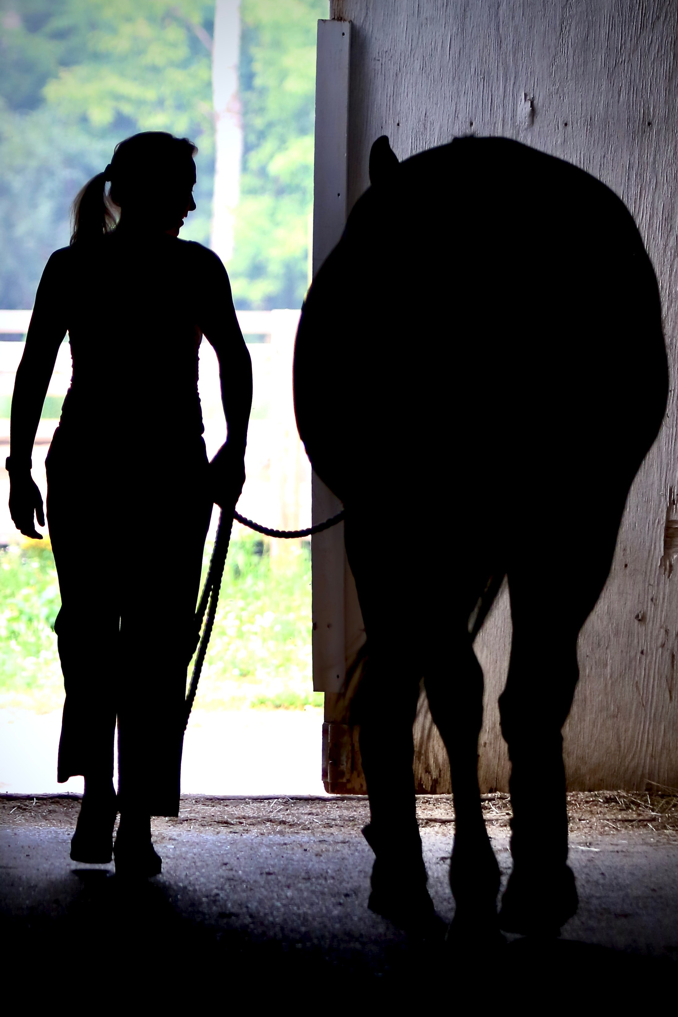 Silhouette of a person and horse in a barn doorway, summer trees beyond